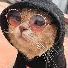 RekkaRekt avatar