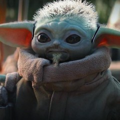 Rhavez