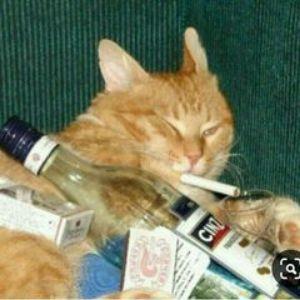 _Martins404_ avatar