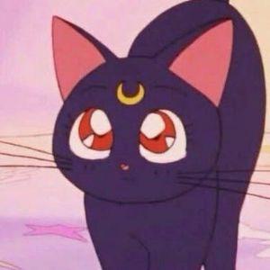skylarq avatar