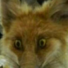 Jmuhch avatar