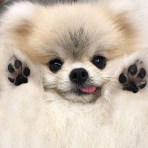 soankl1 avatar