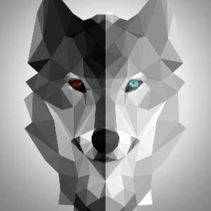 suq11 avatar
