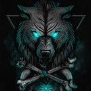 Player Veteran689 avatar