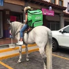 Sebitek avatar