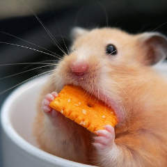 Cheez_its