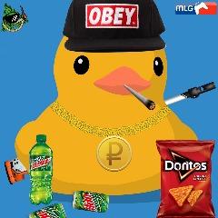 StillSet avatar