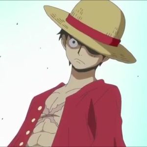 GuineaPigGuy avatar