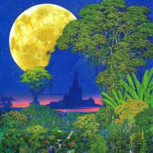 midnight710