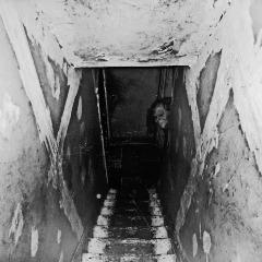 cellar avatar