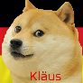 Faceit profile picture for @klaus12