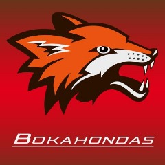 bokahondas