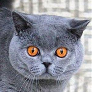 LARD_1998 avatar