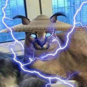 Player Lores_ avatar