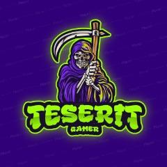 TESERIT avatar
