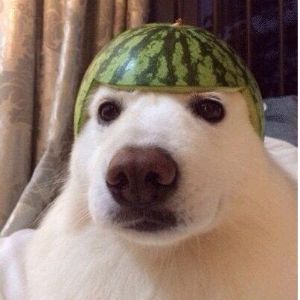 KonnaB