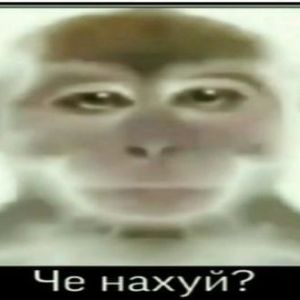 SblHGOVNA