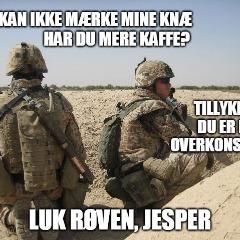 Fjederen