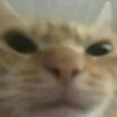 MildCS avatar