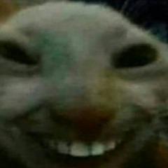 Tw1nForever avatar