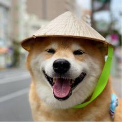 Laxxean avatar