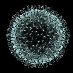 Player CARONA_VIRUS avatar