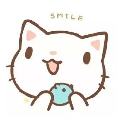 DrMeow