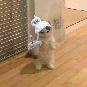 BerqFPS avatar