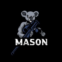 team_mas0n-