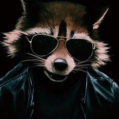 BumblebeeYum