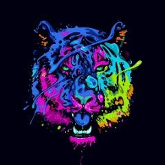 Enxdak1ng avatar