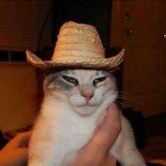 Fur1os avatar