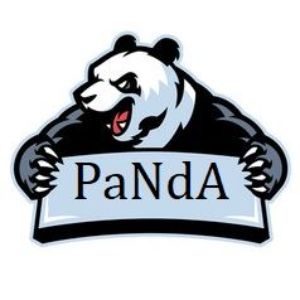 PaNdA262002