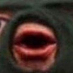 _pipidaster avatar