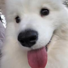 ReDXs avatar