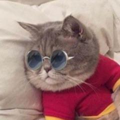 madporific avatar