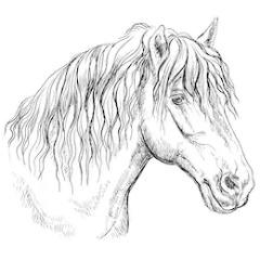 bastichik avatar