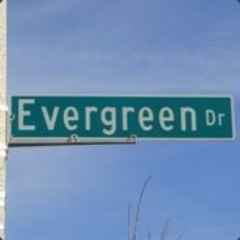 Evergreen303