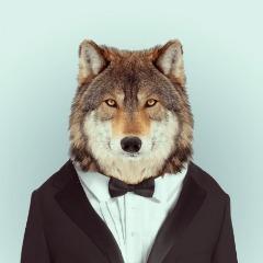 Player Peterko22 avatar