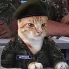 ebalvrotwf avatar
