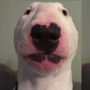 manxbutIers avatar