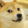 AmazungDoge avatar
