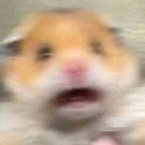 Flayzigg