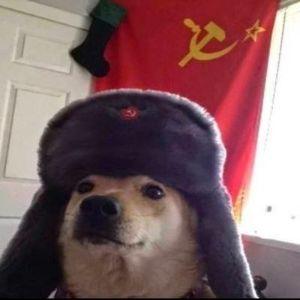 hunternan avatar