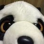 just4funz avatar