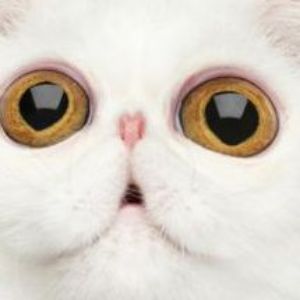luvyamama69 avatar