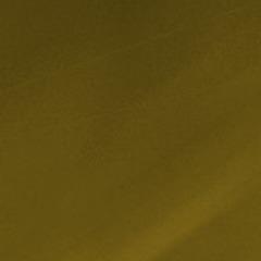 Phoenix_EmaN avatar