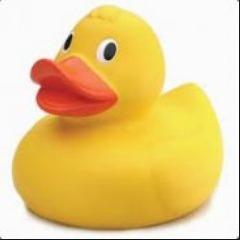 gochikengo avatar