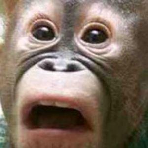 GooberFIsh avatar