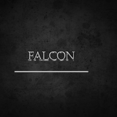 fAlcoN1337- avatar